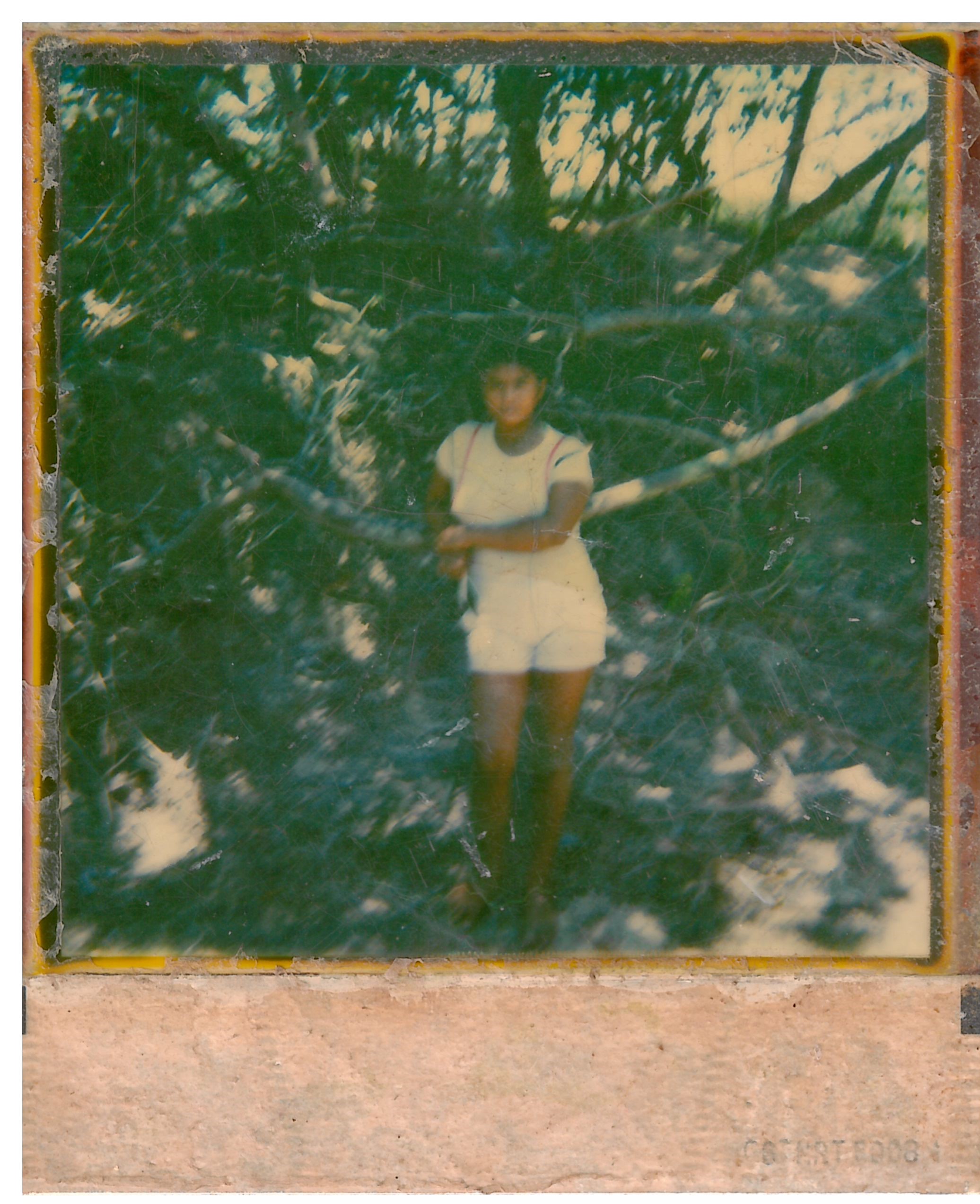 A imagem é de uma foto antiga digitalizada, com marcas do tempo a fotografia registra a futura Yalorixá Anna, que aparenta ser uma moça adolescente. Ana está ao centro da imagem, negra, com cabelos amarrados tem seu olhar encarando a câmera, com blusa de manga na cor branca e short curto branco ela pousa escorada os braços em um galho de árvore. Ao fundo um barranco pequeno, muitas árvores e muitos galhos também, o chão é de areia.
